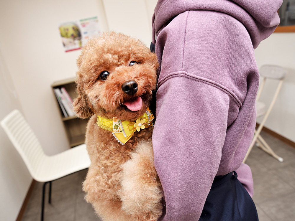 通いやすいサロン